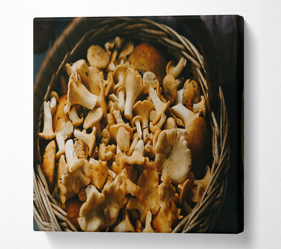  A Canvas Print of Golden Chanterelle Harvest Canvas Art