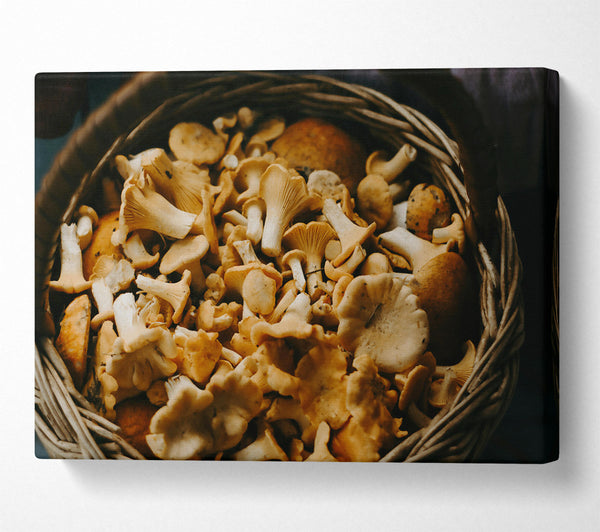  A Canvas Print of Golden Chanterelle Harvest Canvas Art