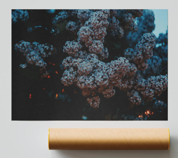 Purple Dusk Blooms Giclee Print