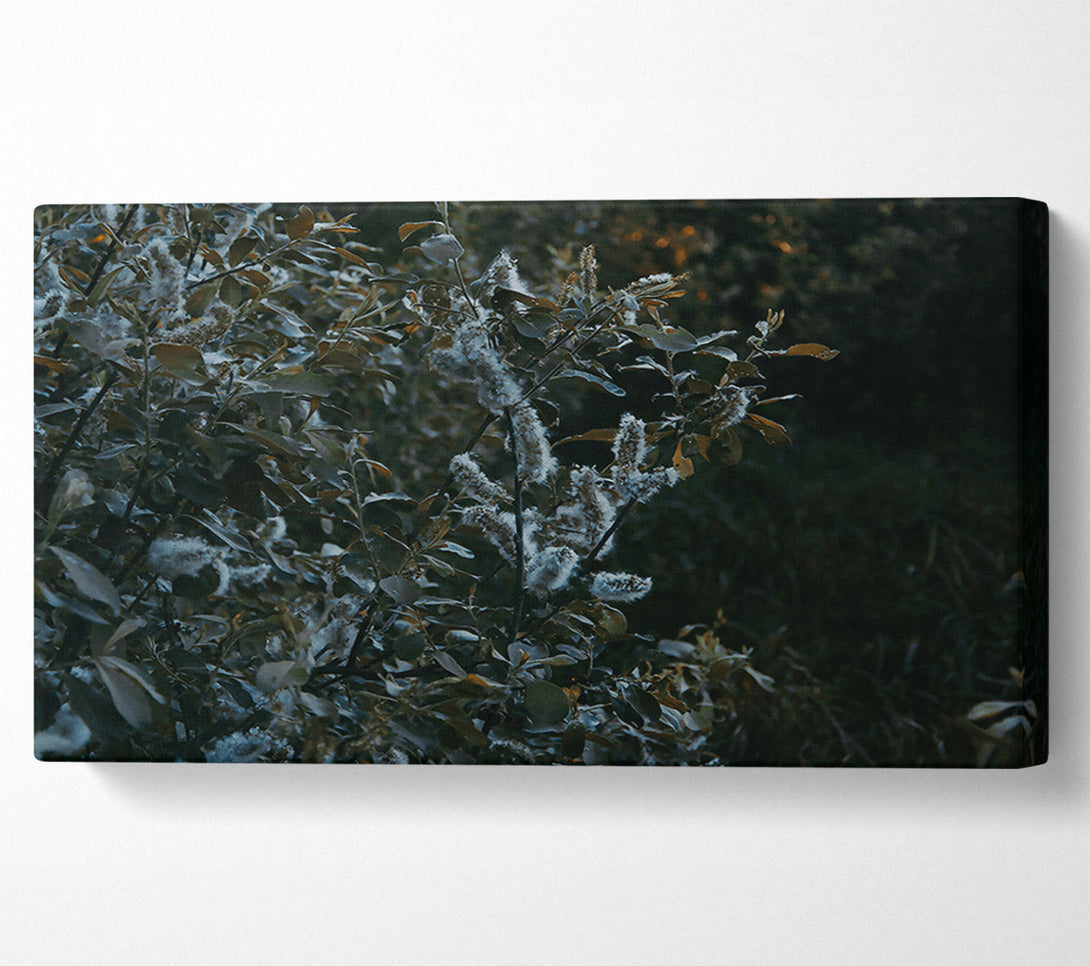  A Canvas Print of Emerald Willow Whispers. Canvas Wall Art