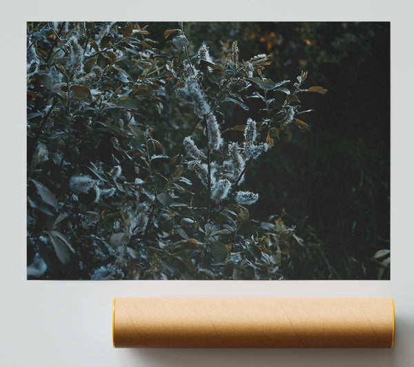 Emerald Willow Whispers. Print