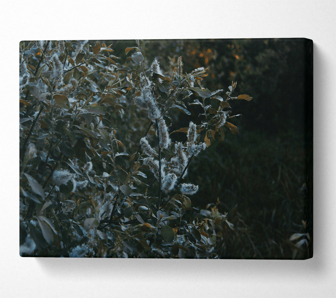  A Canvas Print of Emerald Willow Whispers. Canvas Wall Art