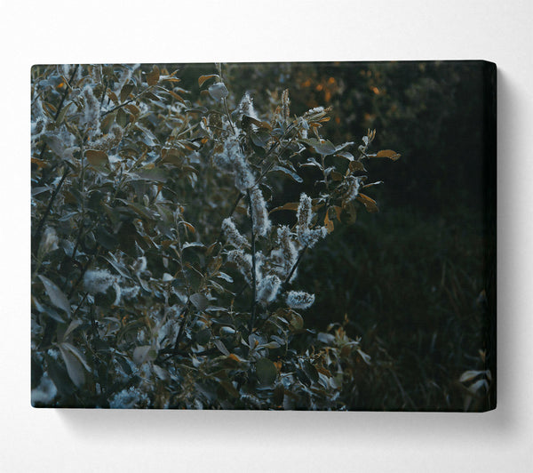  A Canvas Print of Emerald Willow Whispers. Canvas Wall Art