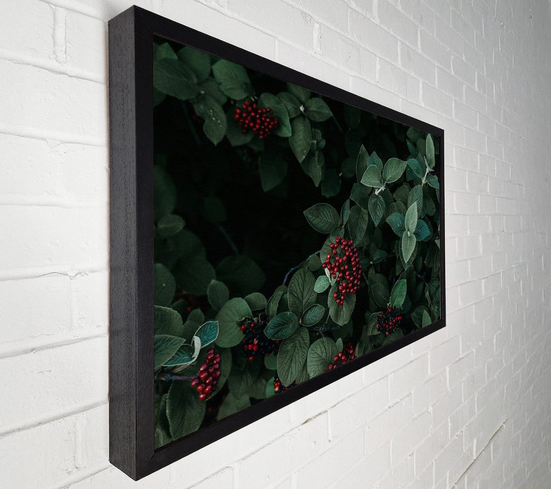  A Canvas Print of Crimson Berries And Leaves Canvas Wall Art