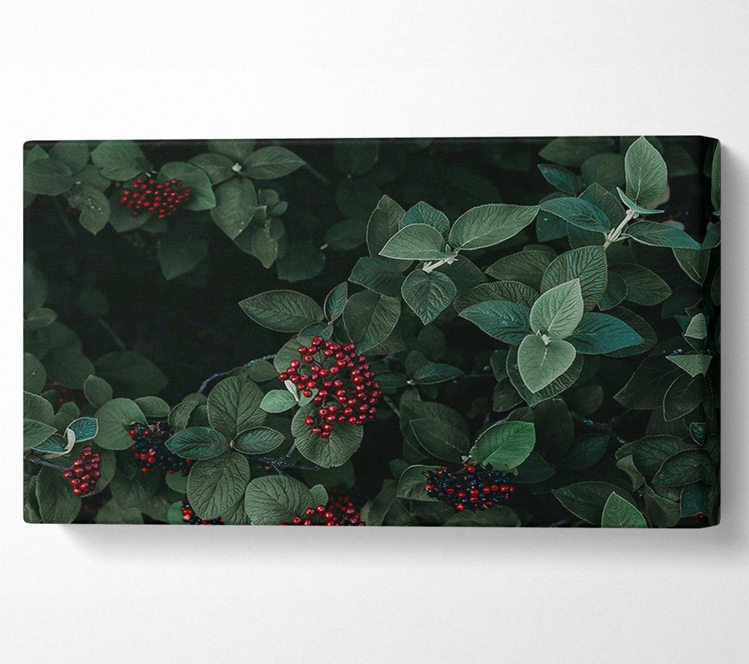  A Canvas Print of Crimson Berries And Leaves Canvas Wall Art