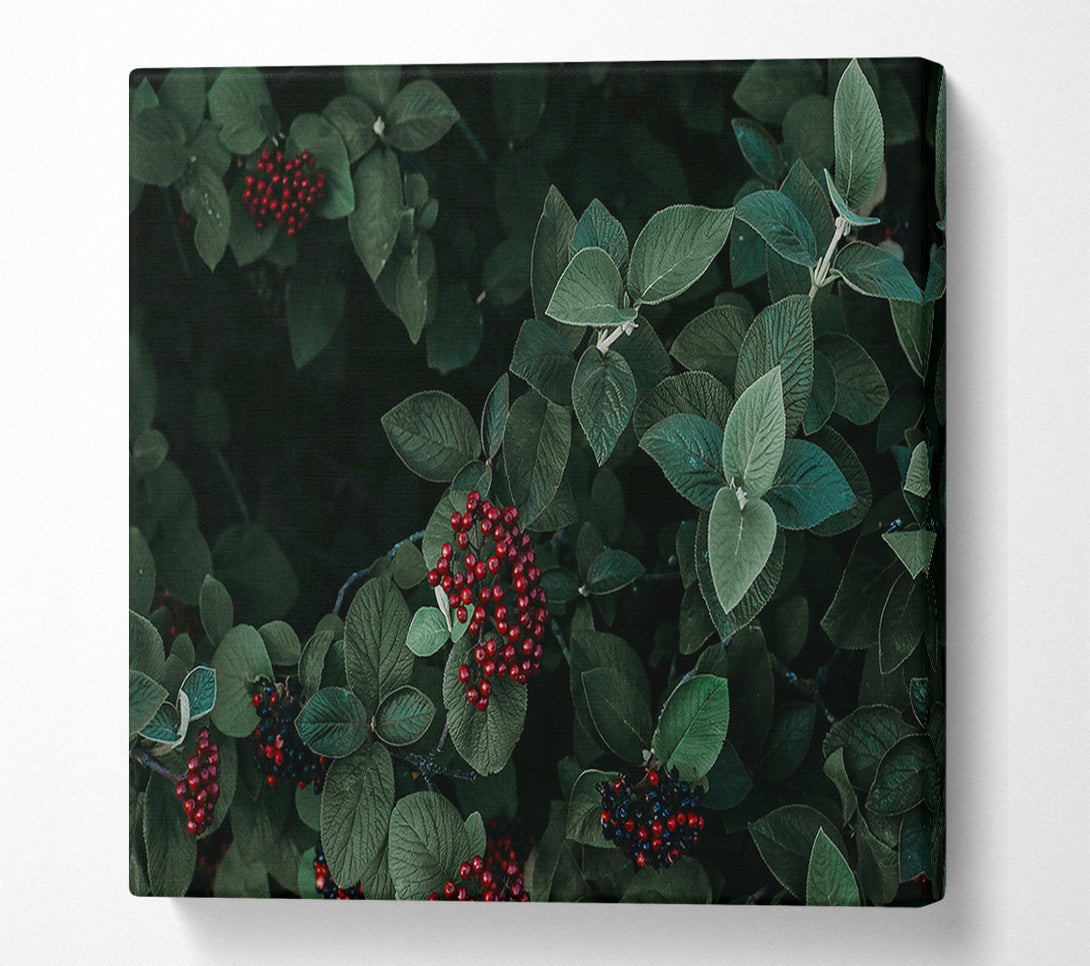  A Canvas Print of Crimson Berries And Leaves Canvas Wall Art