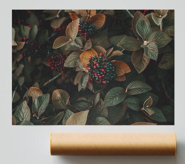 Red Berries In Autumn Leaves Giclee Print