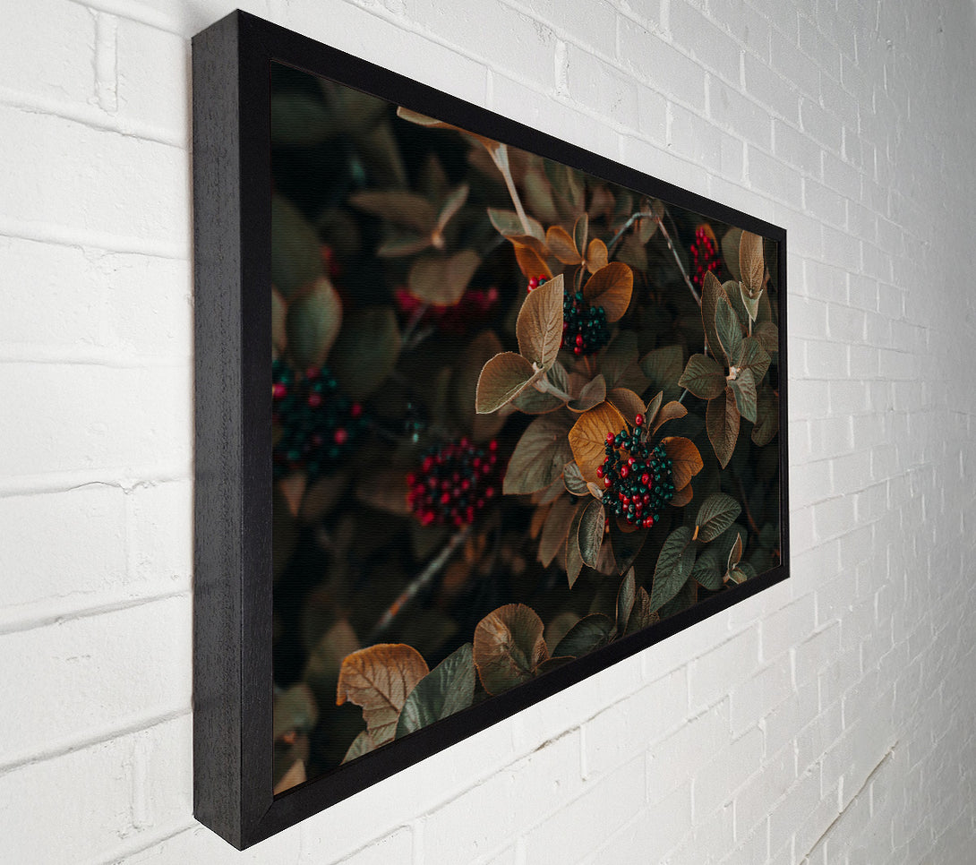  A Canvas Print of Burgundy Autumn Berries Canvas Print