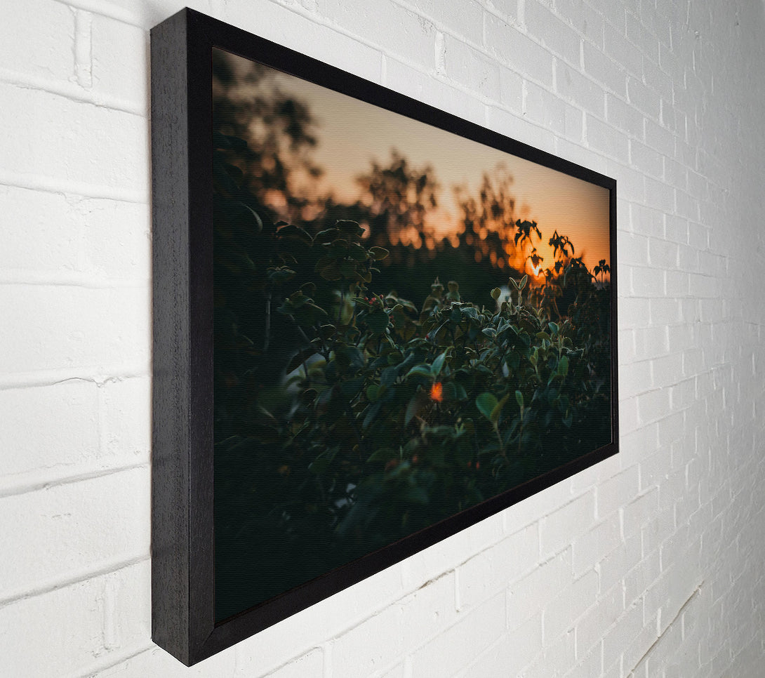  A Canvas Print of Orange Sunset Foliage Canvas Art