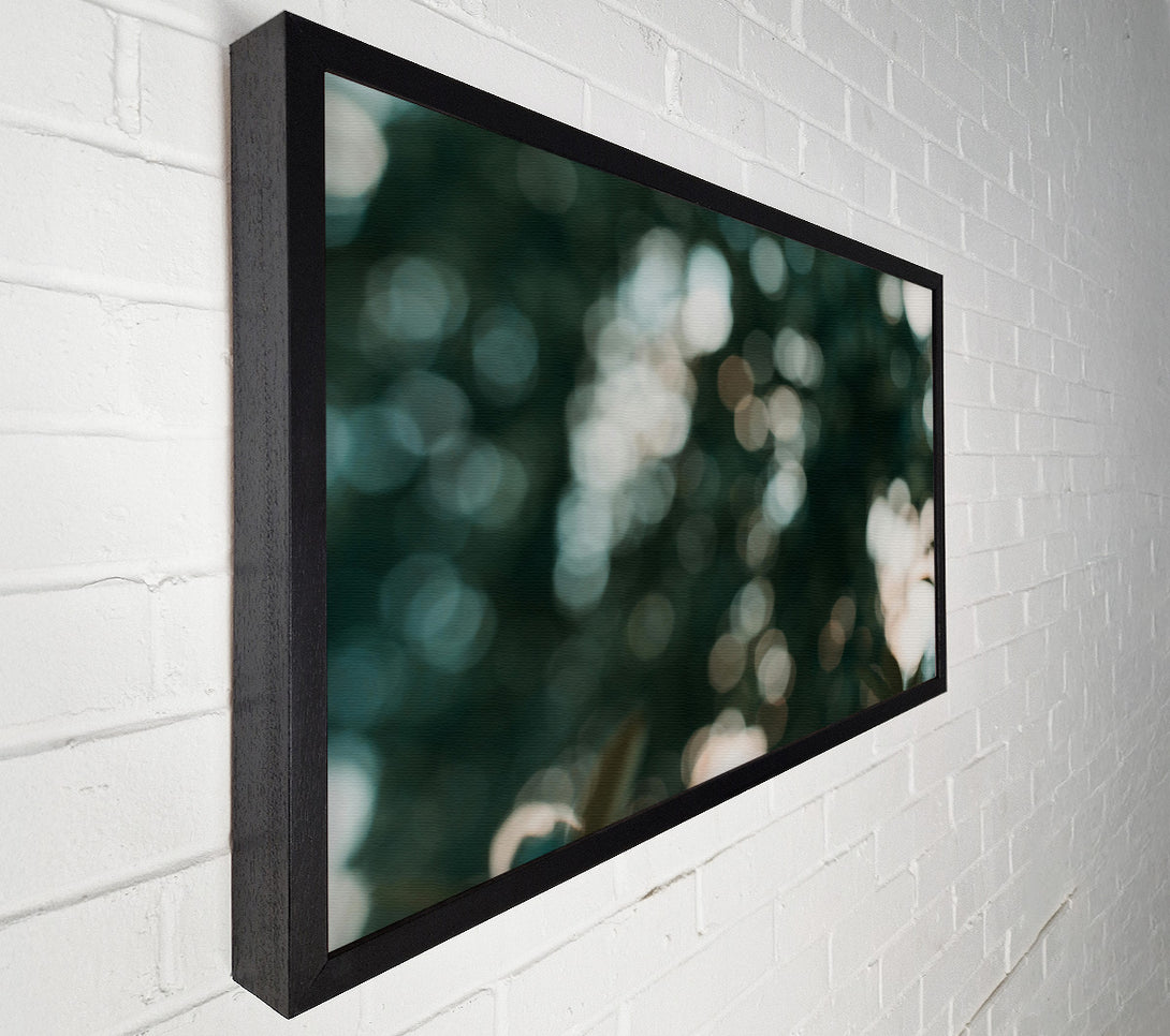  A Canvas Print of Emerald Light Dappled Canvas Art