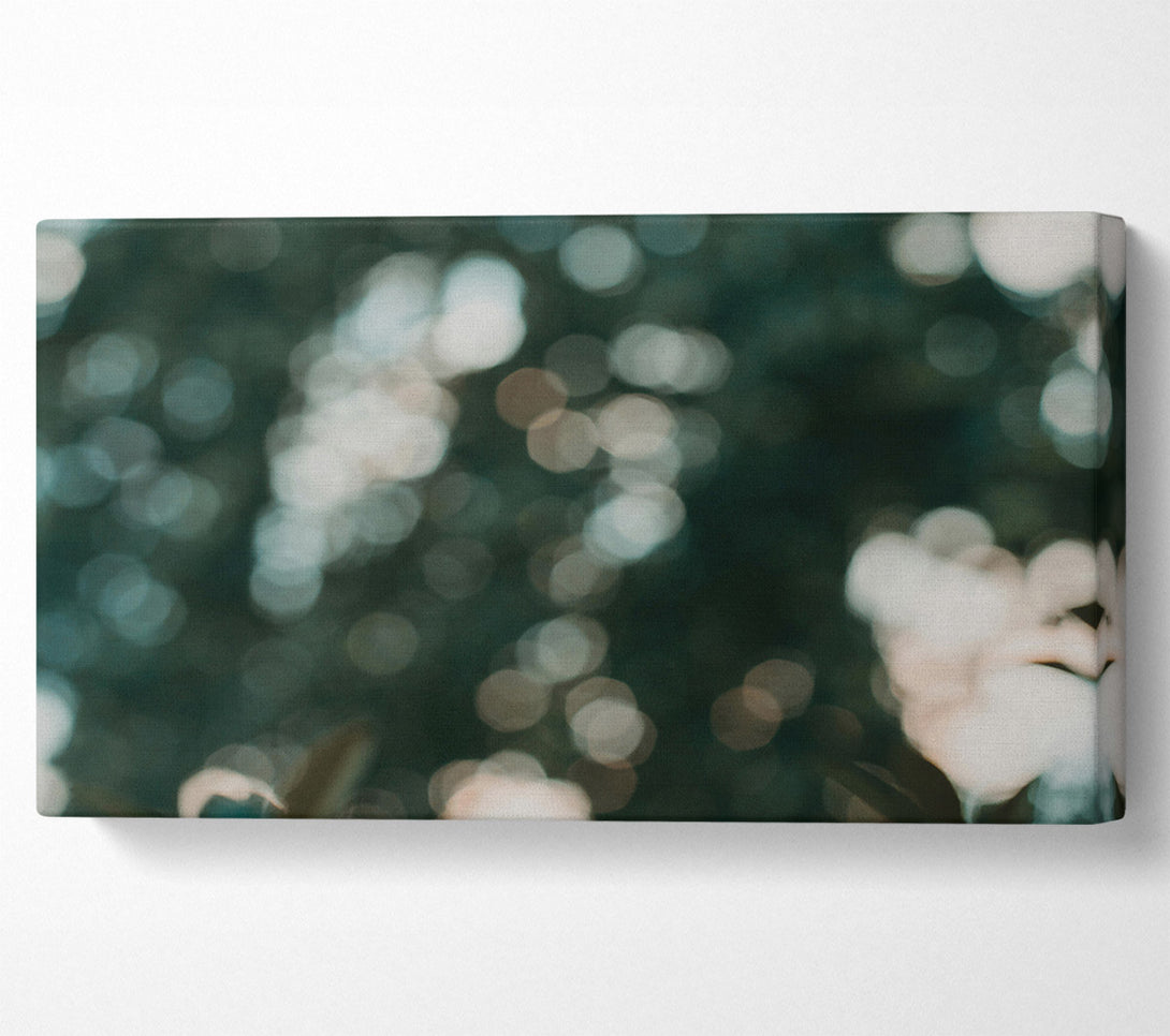  A Canvas Print of Emerald Light Dappled Canvas Art