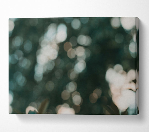  A Canvas Print of Emerald Light Dappled Canvas Art