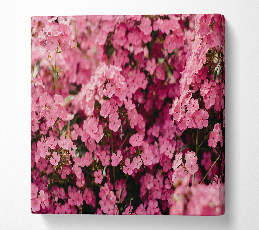  A Canvas Print of Pink Flower Field Canvas Art