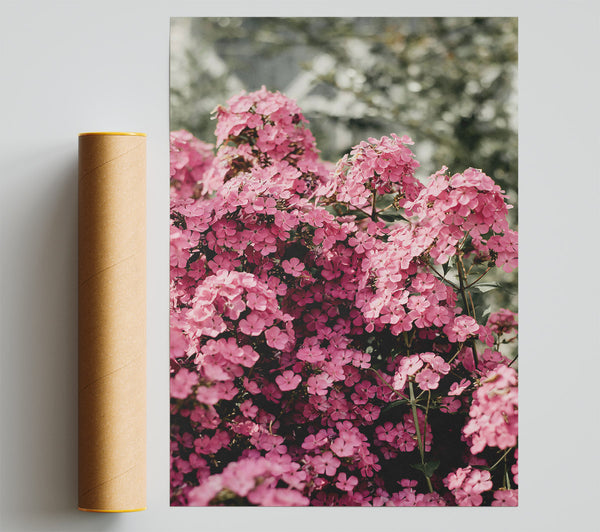 Pink Floral Abundance Giclee Print