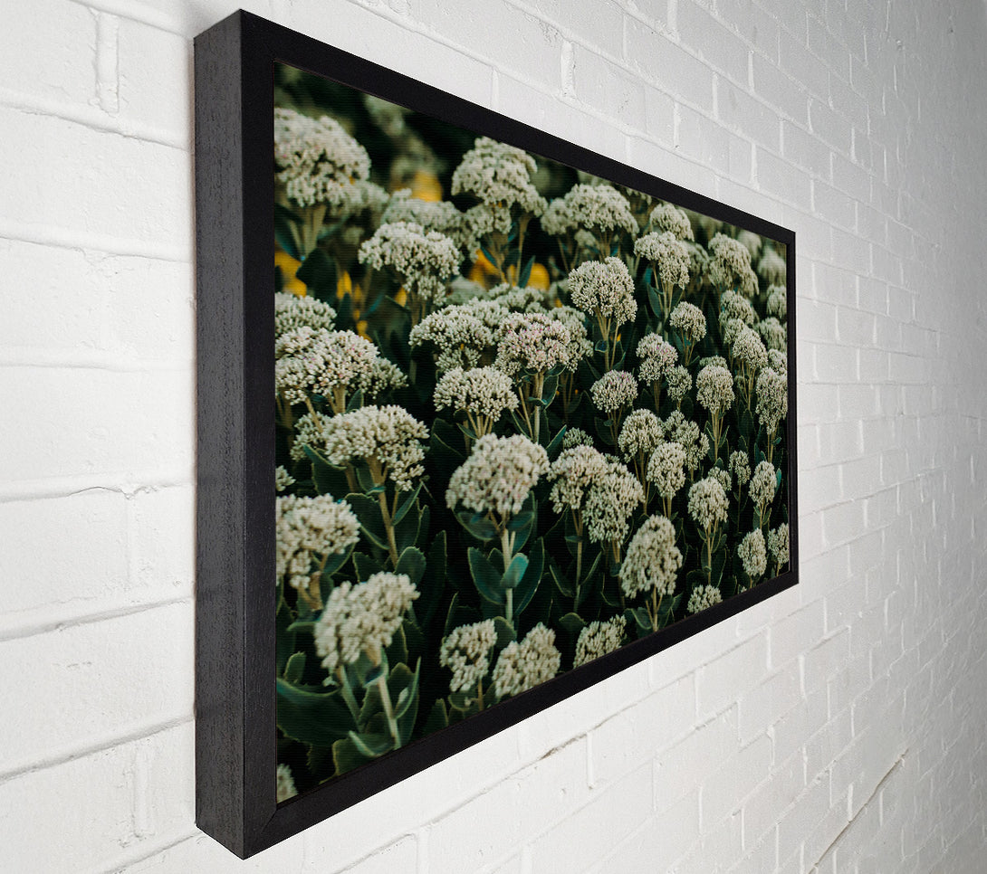  A Canvas Print of Green White Blooms Canvas Art