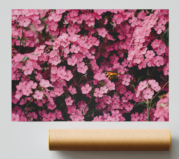 Pink Floral Symphony Print