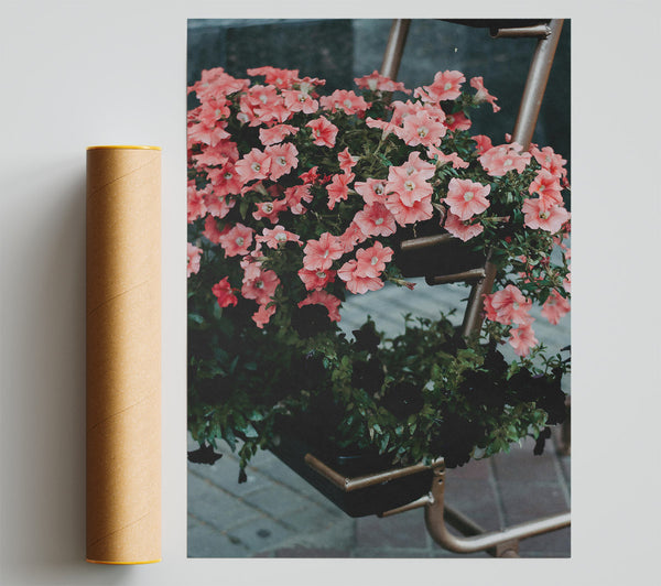 Pink Petunias And Rust Print