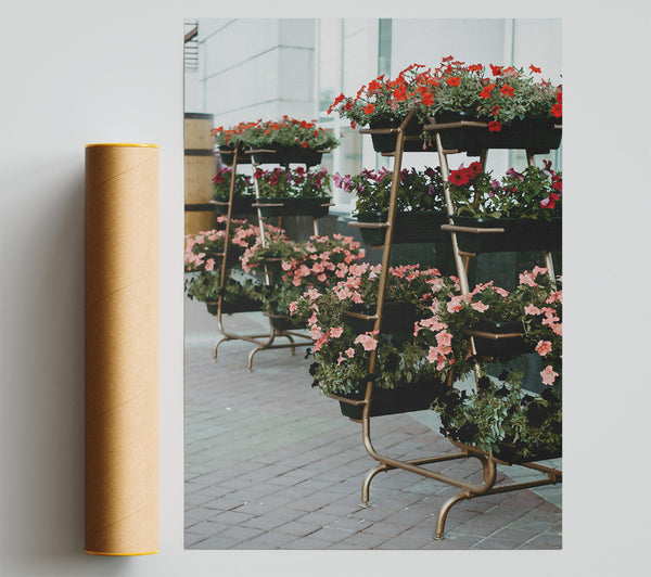 Pink Urban Blooms Print