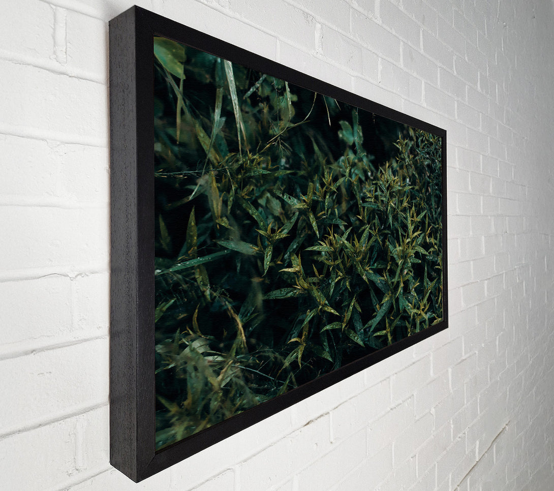  A Canvas Print of Emerald Forest Rain Canvas Wall Art