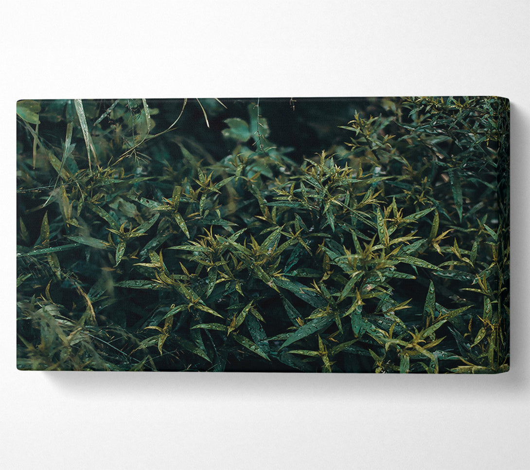  A Canvas Print of Emerald Forest Rain Canvas Wall Art
