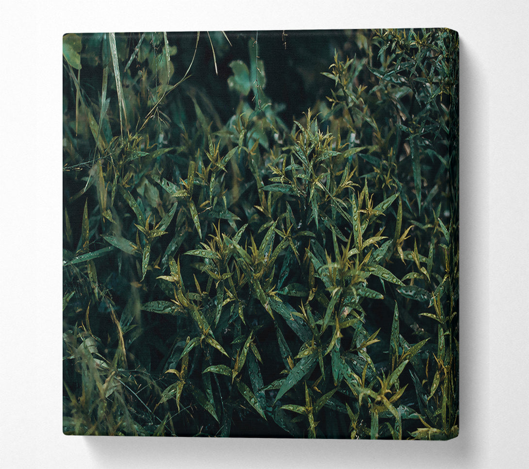  A Canvas Print of Emerald Forest Rain Canvas Wall Art