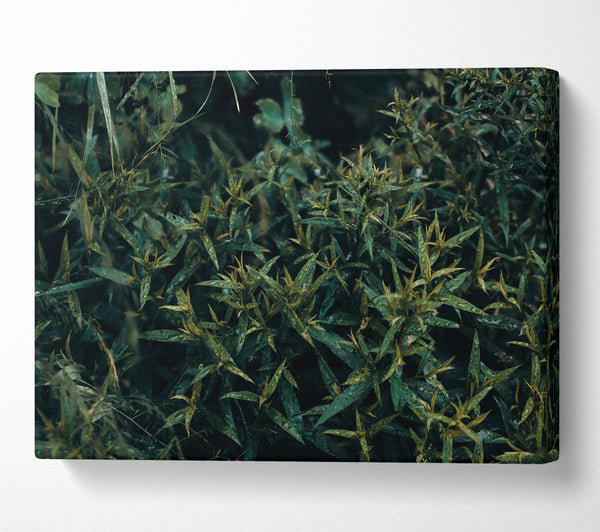  A Canvas Print of Emerald Forest Rain Canvas Wall Art