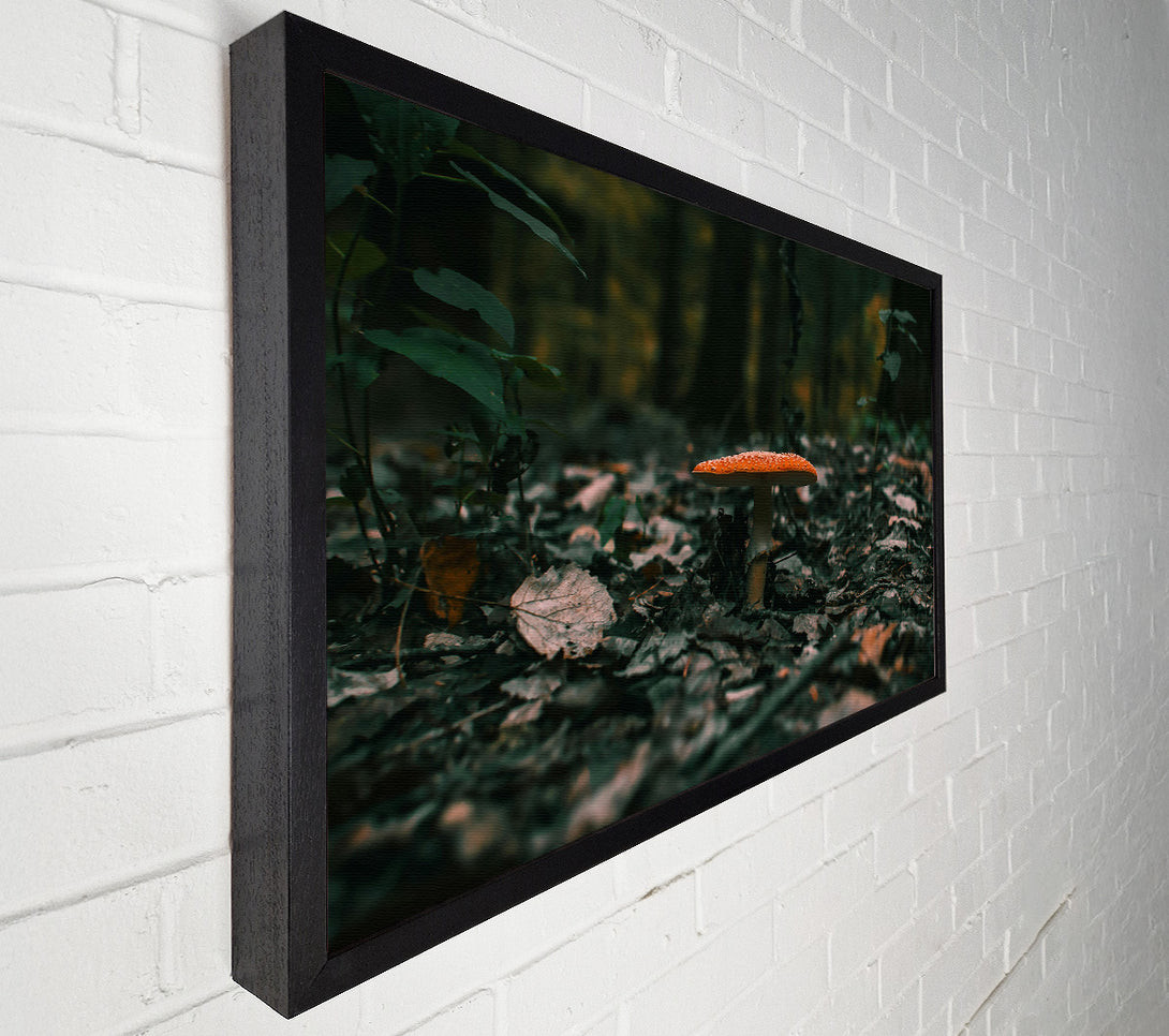  A Canvas Print of Orange Mushroom In The Woods Canvas Art