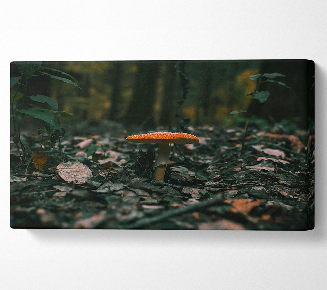  A Canvas Print of Orange Mushroom In The Woods Canvas Art