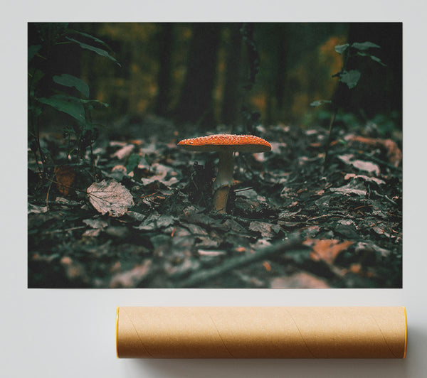 Orange Mushroom In The Woods Giclee Print