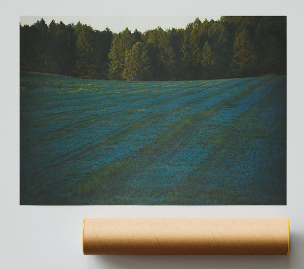 Azure Field Lines Print