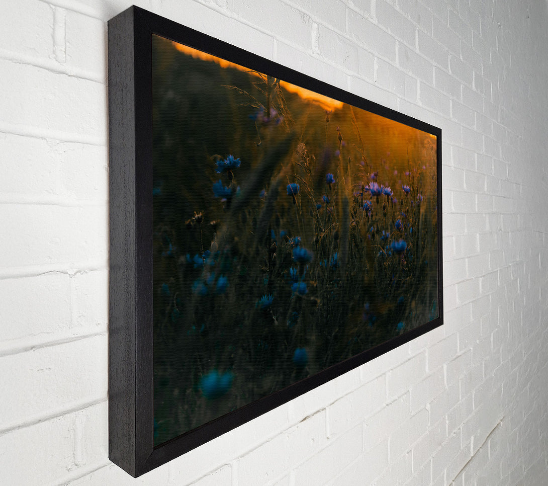  A Canvas Print of Blue Flowers In Sunset Glow Canvas Wall Art