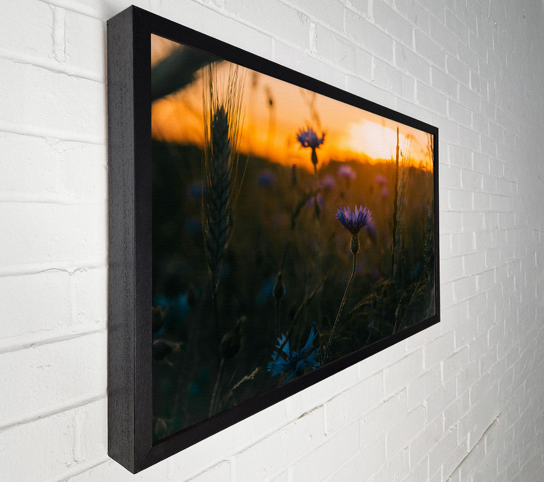  A Canvas Print of Golden Hour Blues Canvas Art
