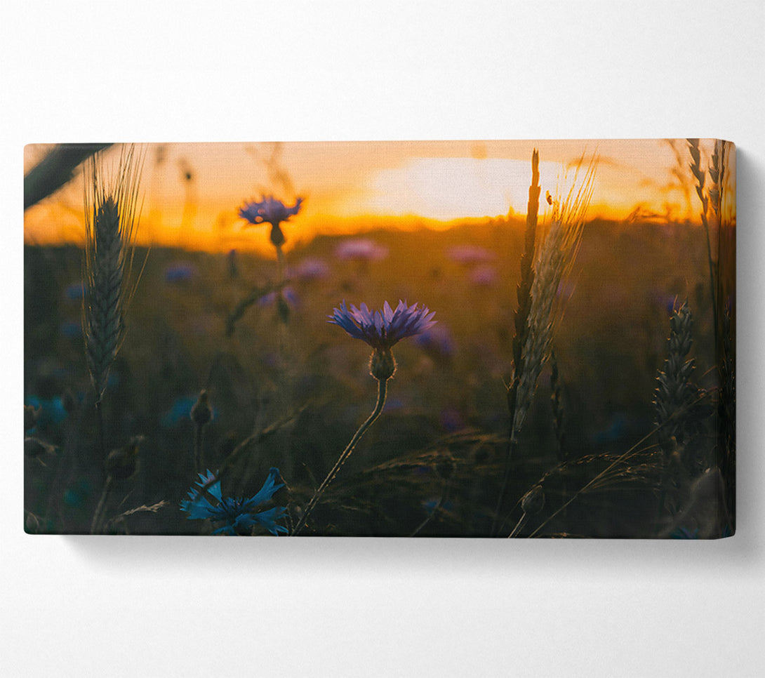  A Canvas Print of Golden Hour Blues Canvas Art