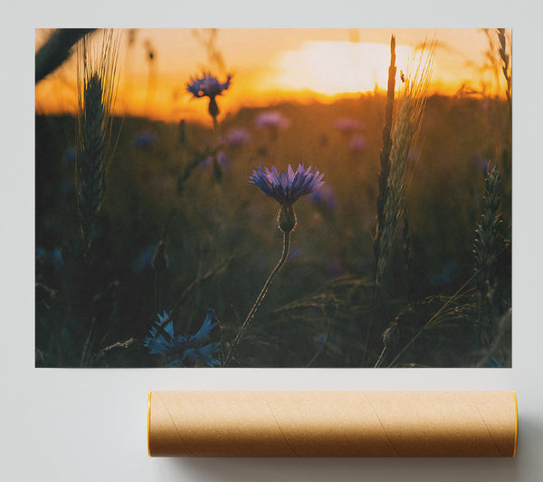 Golden Hour Blues Giclee Print