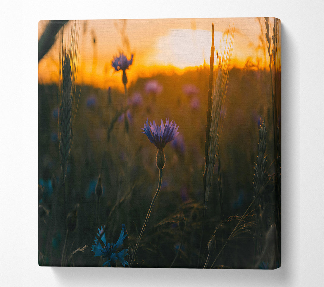  A Canvas Print of Golden Hour Blues Canvas Art