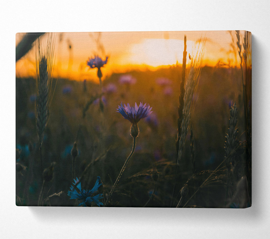  A Canvas Print of Golden Hour Blues Canvas Art