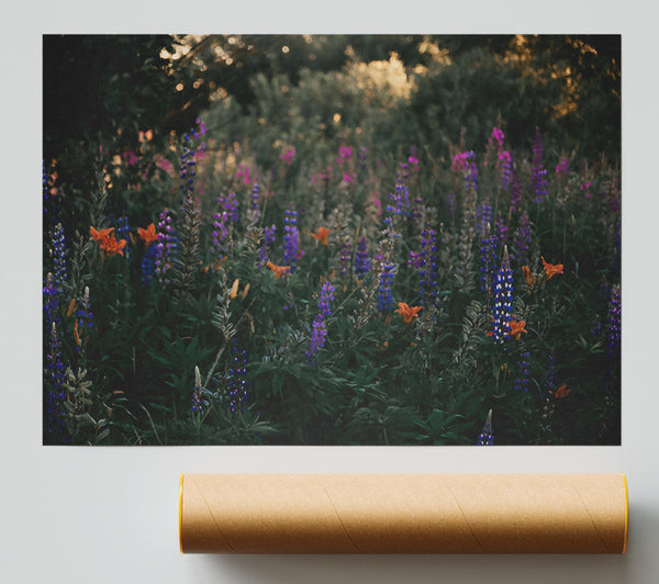 Blue Wildflower Field Poster