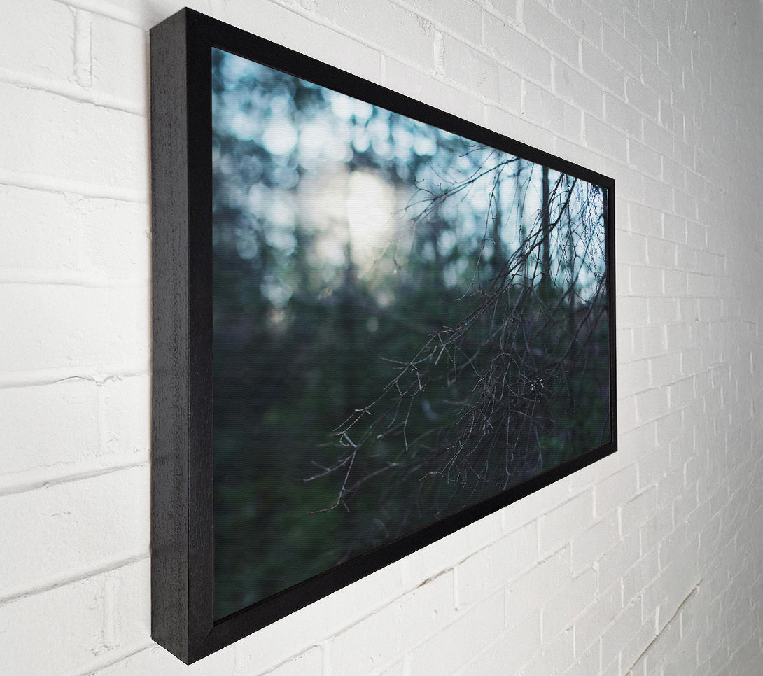  A Canvas Print of Blue Forest Light Canvas Print