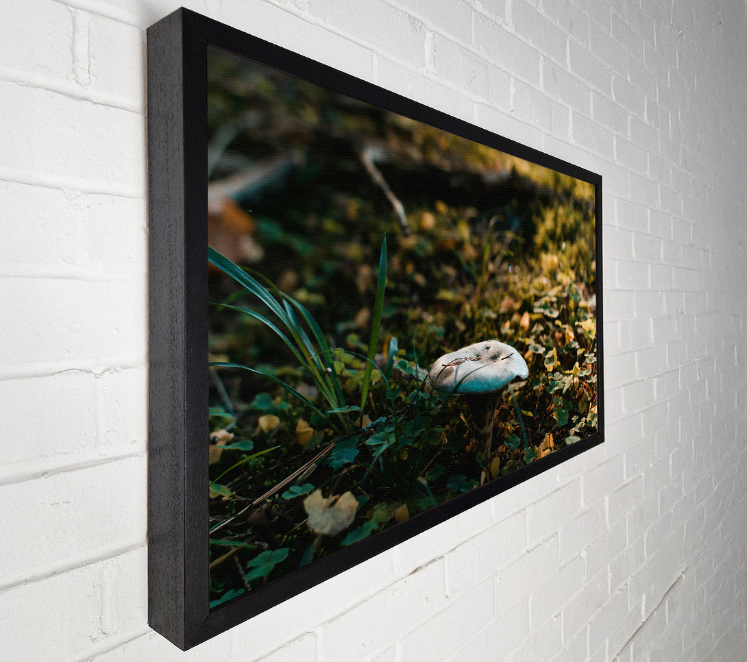  A Canvas Print of Blue Forest Fungus Canvas Wall Art
