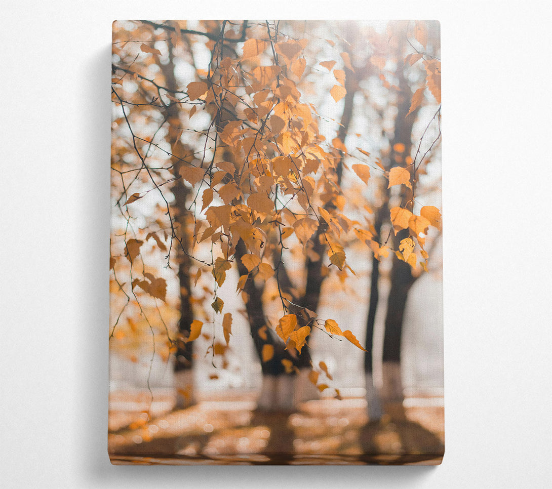  A Canvas Print of Golden Autumn Leaves Canvas Wall Art