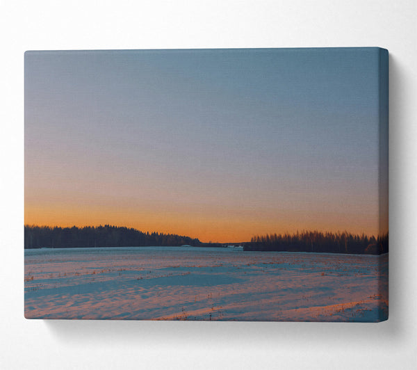  A Canvas Print of Orange Winter Field Canvas Art