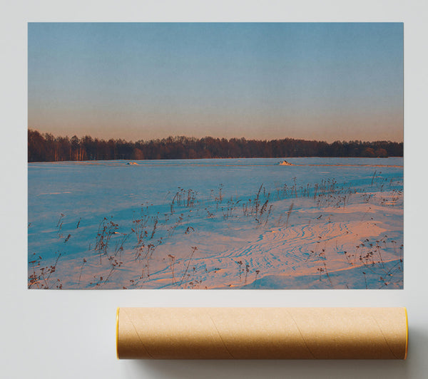 Pink Snow Field Print
