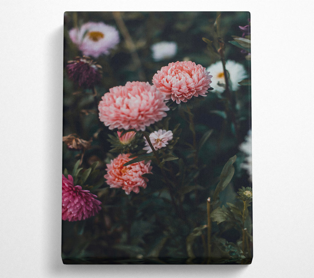  A Canvas Print of Pink Blooms In The Green Canvas Print