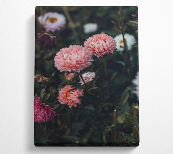  A Canvas Print of Pink Blooms In The Green Canvas Print