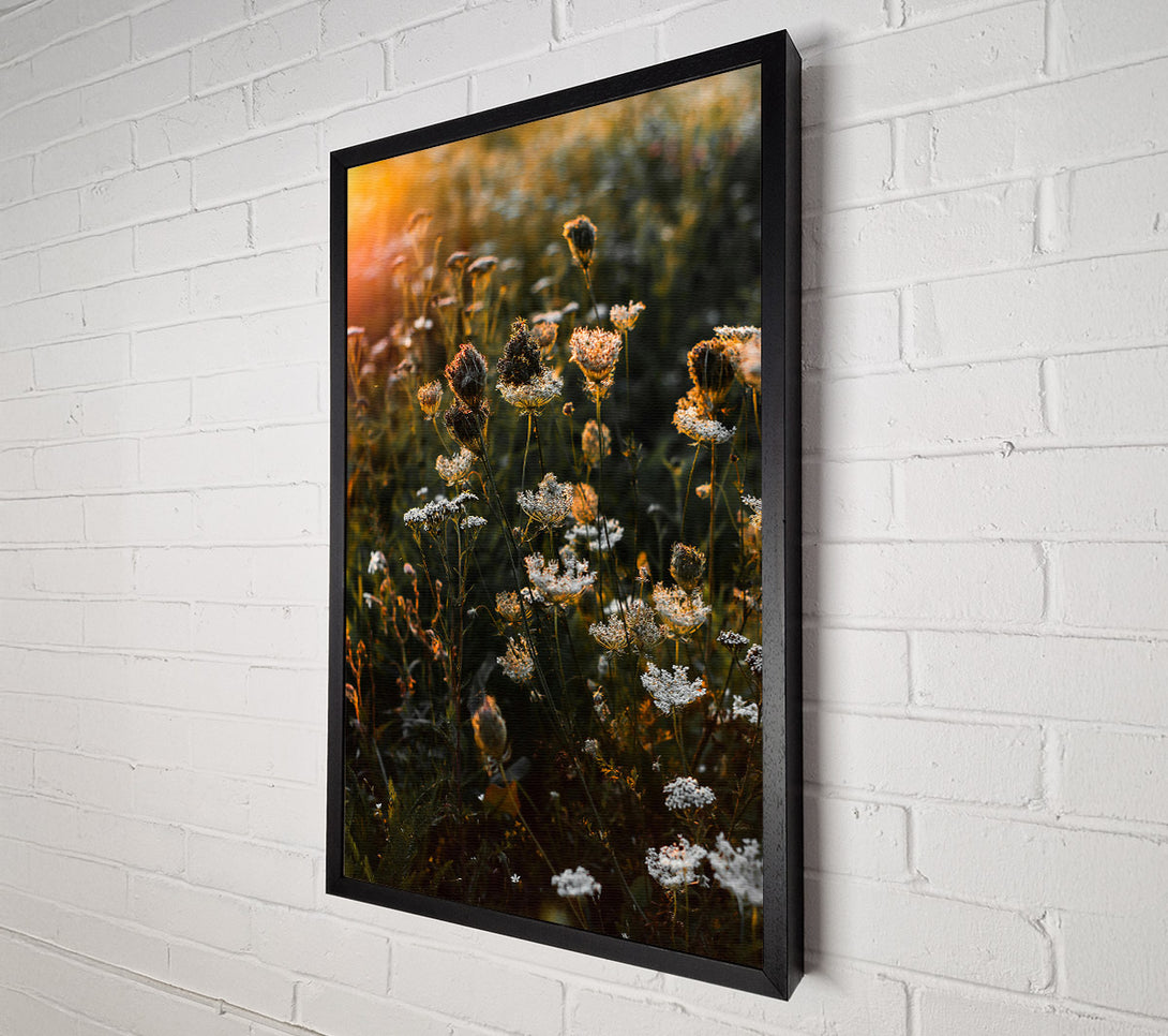  A Canvas Print of Orange Wildflowers Glow Canvas Wall Art
