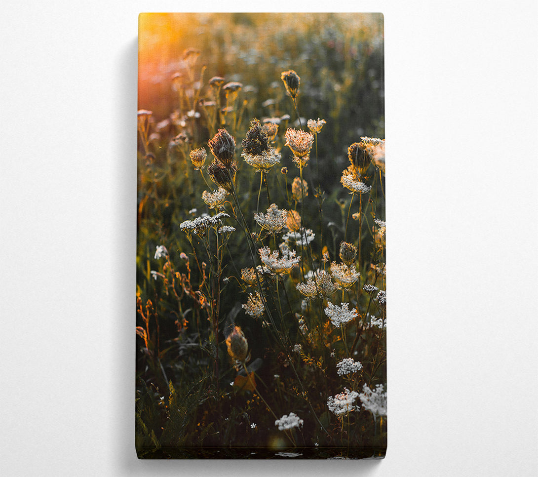  A Canvas Print of Orange Wildflowers Glow Canvas Wall Art