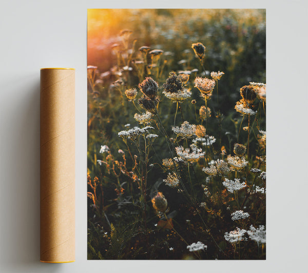 Orange Wildflowers Glow Poster