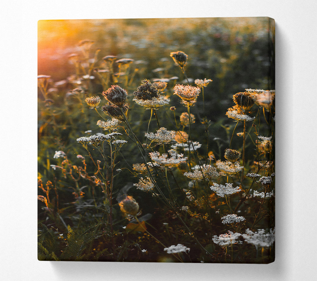  A Canvas Print of Orange Wildflowers Glow Canvas Wall Art