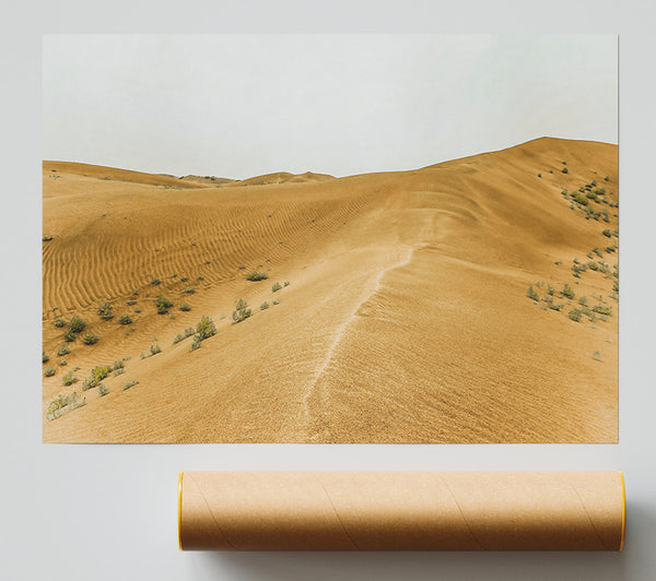 Golden Sand Dunes Path Print