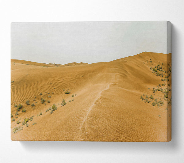  A Canvas Print of Golden Sand Dunes Path Canvas Print